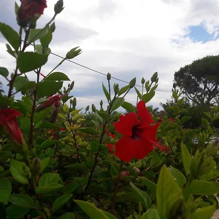 Myrto Hersonissos (Crete)